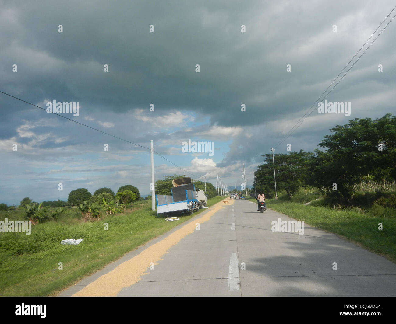 09590 arbres d'irrigation des rizières Magumbali Candaba Pampanga 07 Routes Banque D'Images