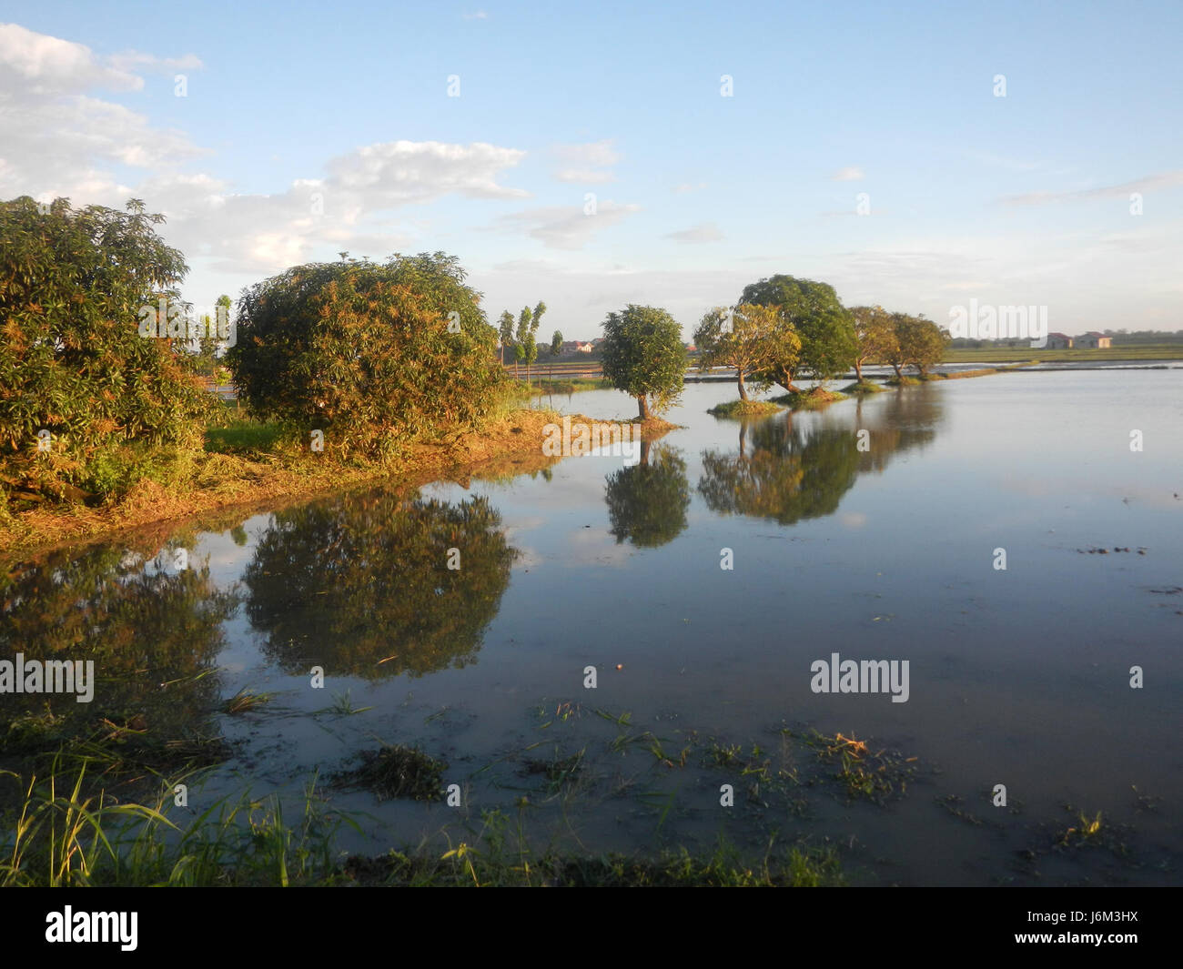 La zone 06365 fait partie des rizières et des prairies le long de Cortez Road à Concepcion, San Simon, Pampanga. Il dispose de terres agricoles avec des champs, des arbres et des espaces ouverts typiques des paysages ruraux des Philippines. Banque D'Images