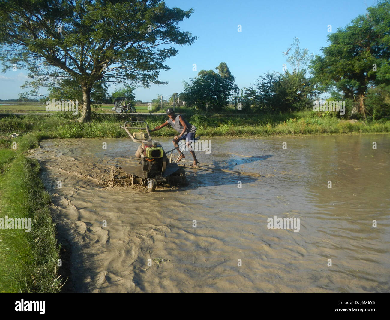 L'image capture le paysage agricole rural de Balucuc, Apalit, Pampanga, montrant le labourage des rizières, les systèmes d'irrigation et les oiseaux volants dans le milieu environnant. Banque D'Images