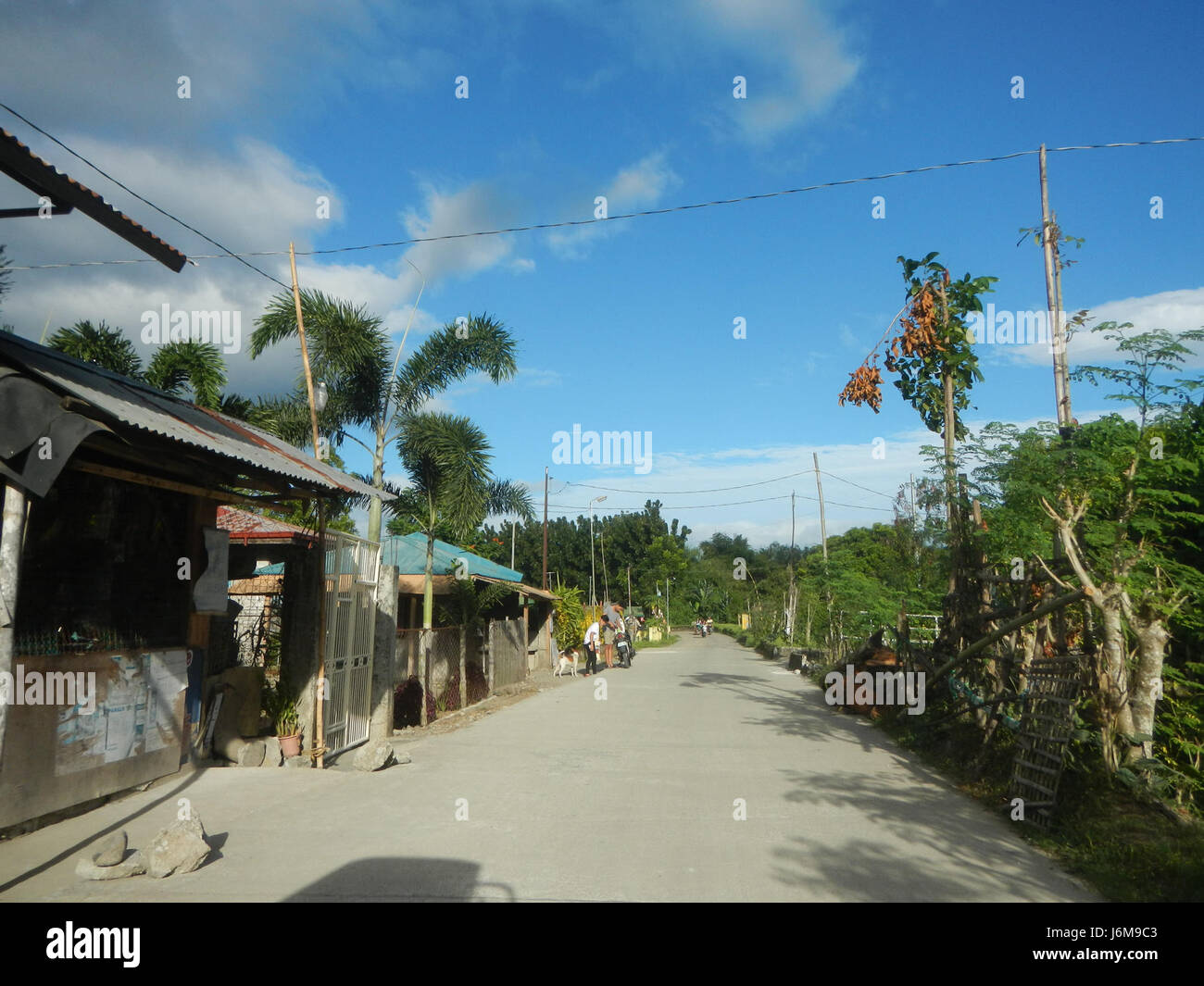 0601 rizières Bagong Silang Ilog-Bulo San Miguel marché agricole de Bulacan Road 14 Banque D'Images