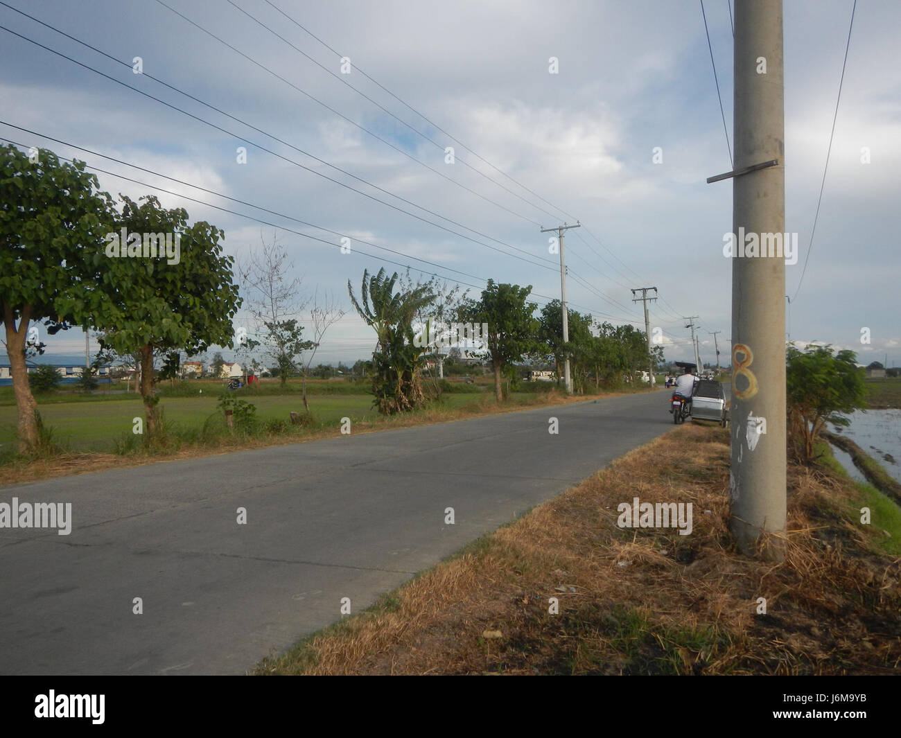 Une photographie de paysage de rizières et de prairies à Sumacab sur Norte, dans la ville de Cabanatuan, montrant l'utilisation des terres agricoles et la vie rurale aux Philippines. Banque D'Images