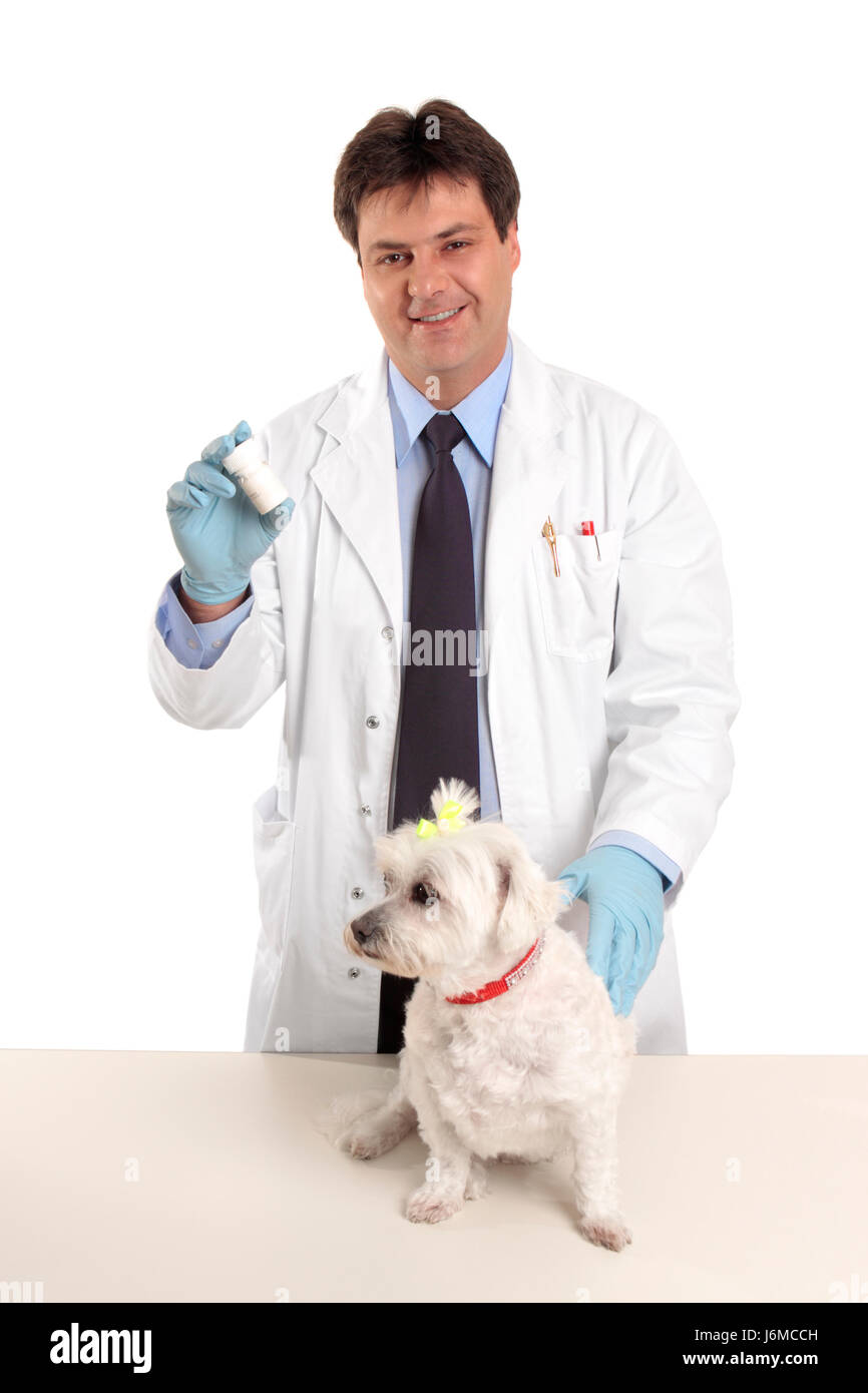 Chien de compagnie médicale médicinalement comprimés signifie médecine médicament substance remède agent Banque D'Images