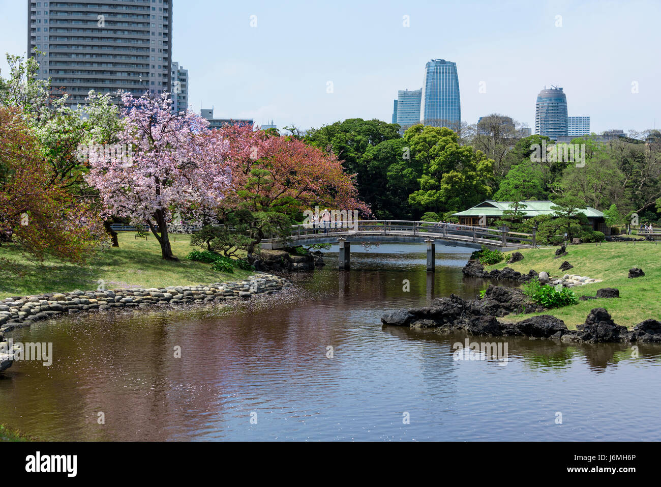 Hama Rikyu jardins japonais de Tokyo. Banque D'Images