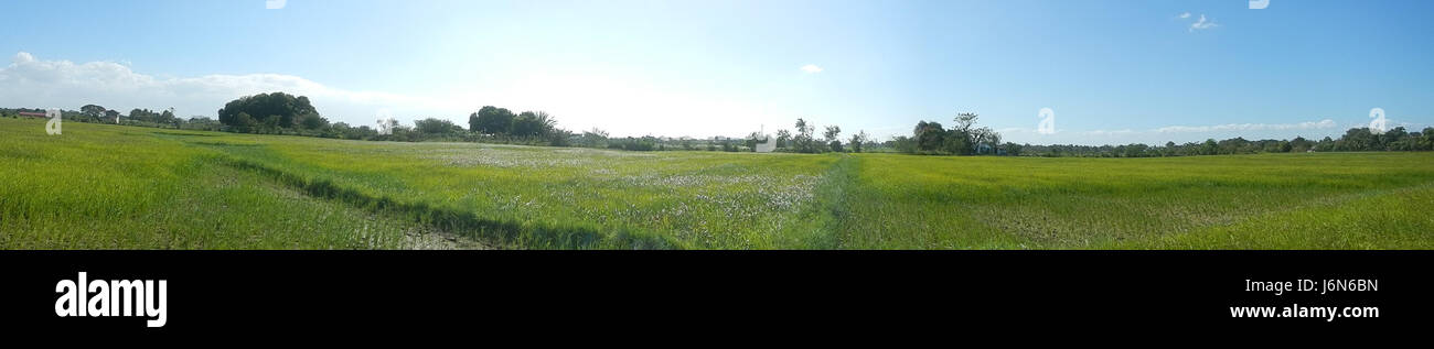 Cette photographie panoramique capture une vue de l'aéroport de Plaridel, offrant une large perspective de la piste, des installations aéroportuaires et du paysage environnant. Il met en valeur l’infrastructure de airportâ€™ et son rôle dans le transport aérien régional. Banque D'Images