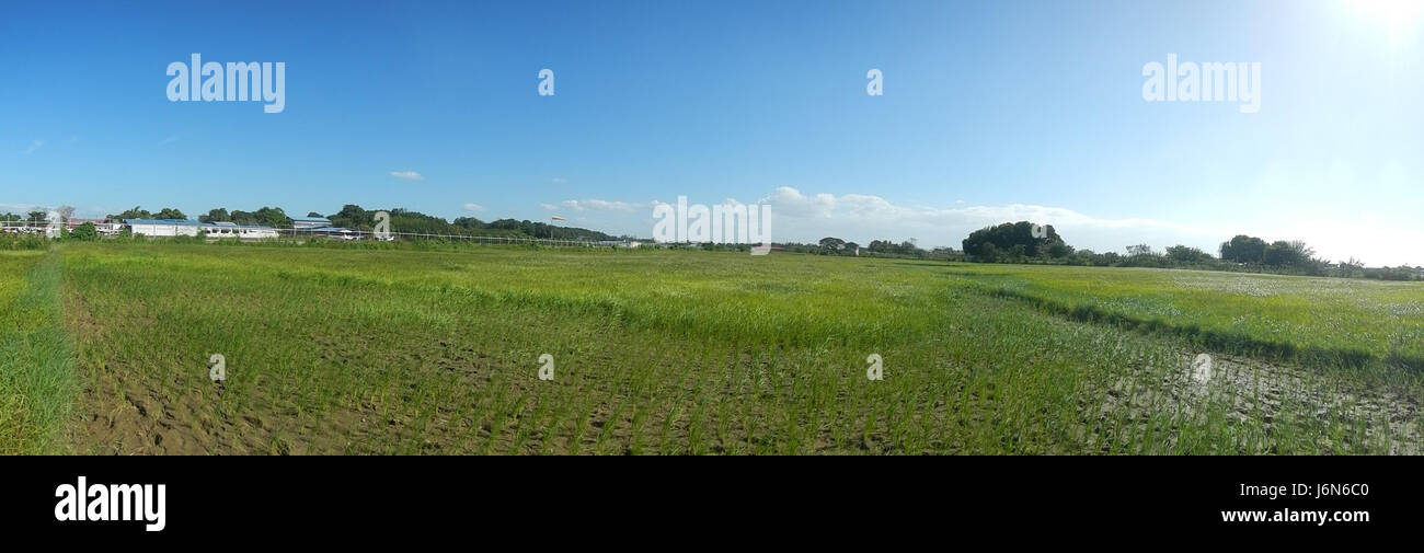 Cette image panoramique présente l'aéroport de Plaridel, situé à Bulacan, qui met en valeur l'aménagement et les environs du airportâ€ ™, y compris les pistes, les terminaux et les installations à proximité. Banque D'Images