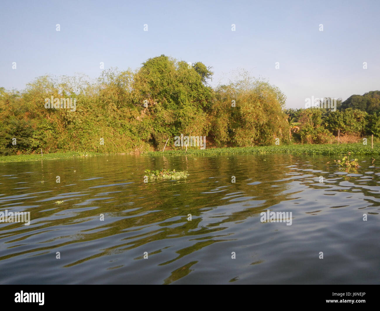 Les berges de Pulilan à Dampol, Lumbac, Poblacion et Lumang Bayan à Plaridel, Bulacan, sont des zones vitales pour l'agriculture, la gestion de l'eau et les communautés locales, contribuant au développement régional. Banque D'Images