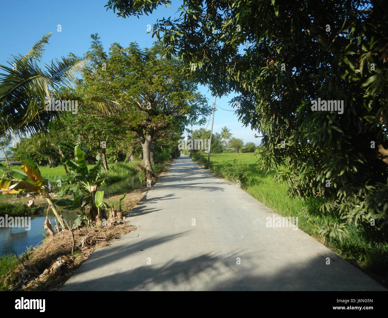 Ce titre fait référence à une représentation des rizières, des arbres, des prairies et des systèmes d'irrigation à Guiguinto, Bulacan, mettant en évidence le paysage rural et agricole de la région. Banque D'Images