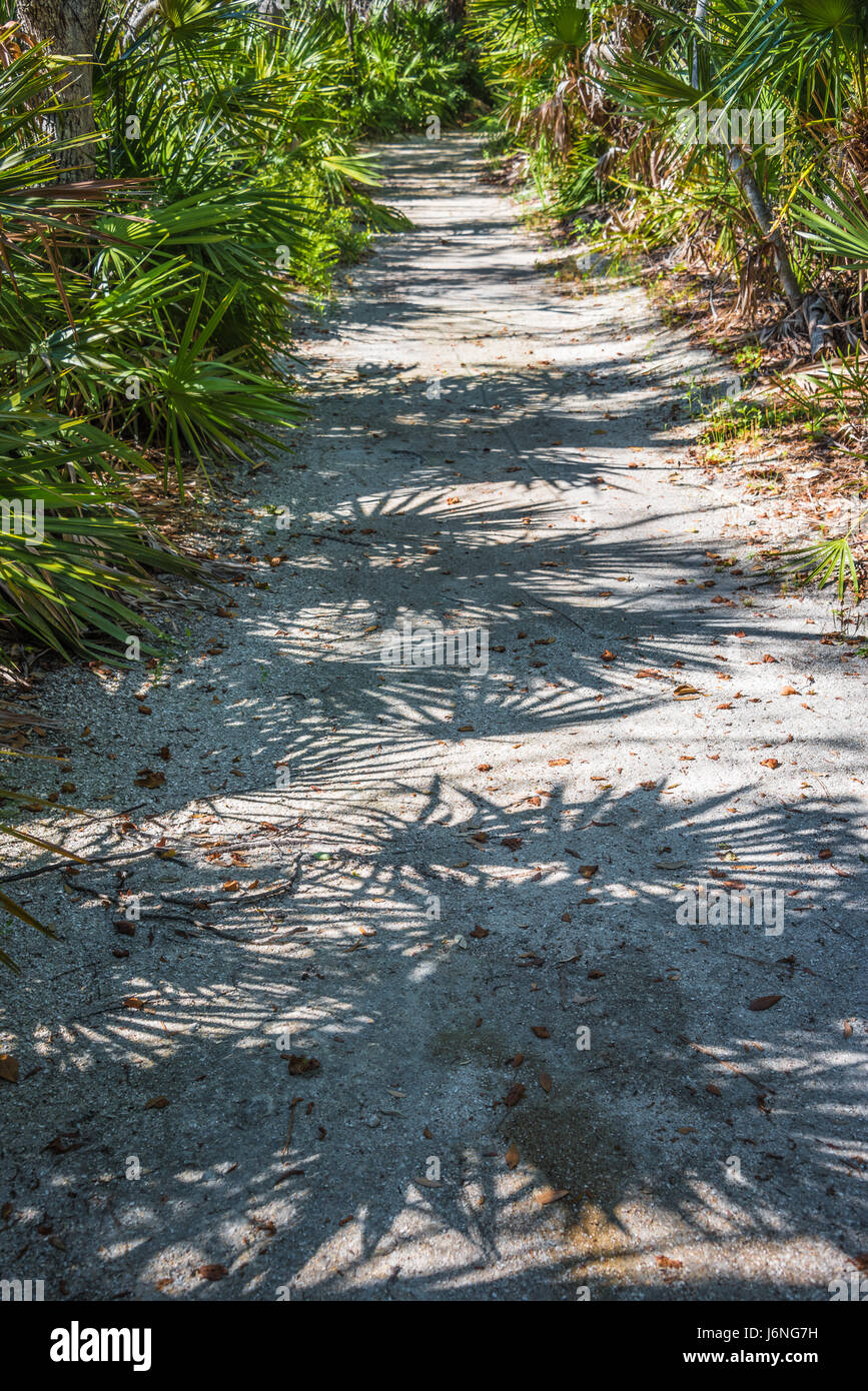 Sentier nature à préserver en vue de la marée Atlantic Beach, en Floride, aux États-Unis. Banque D'Images