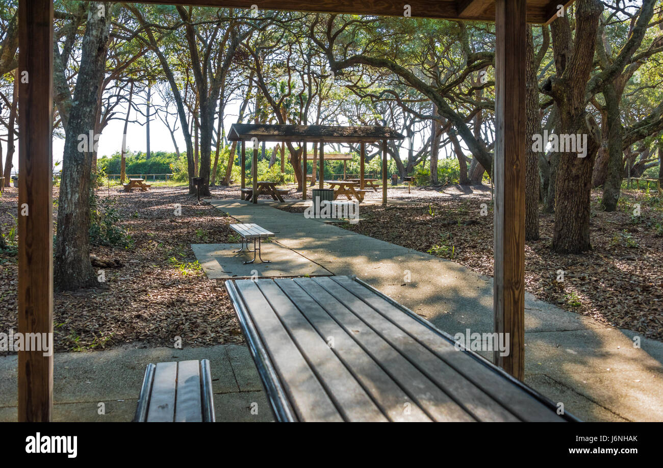 North Beach Pavilion, au-dessus de la plage Boneyard à Big Talbot Island State Park dans le nord-est de la Floride. (USA) Banque D'Images