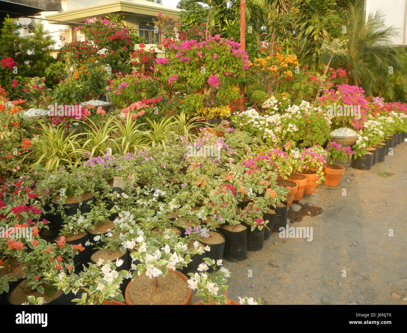 07822 Garden City Santa Cruz, Bulacan 22 Guiguinto Banque D'Images