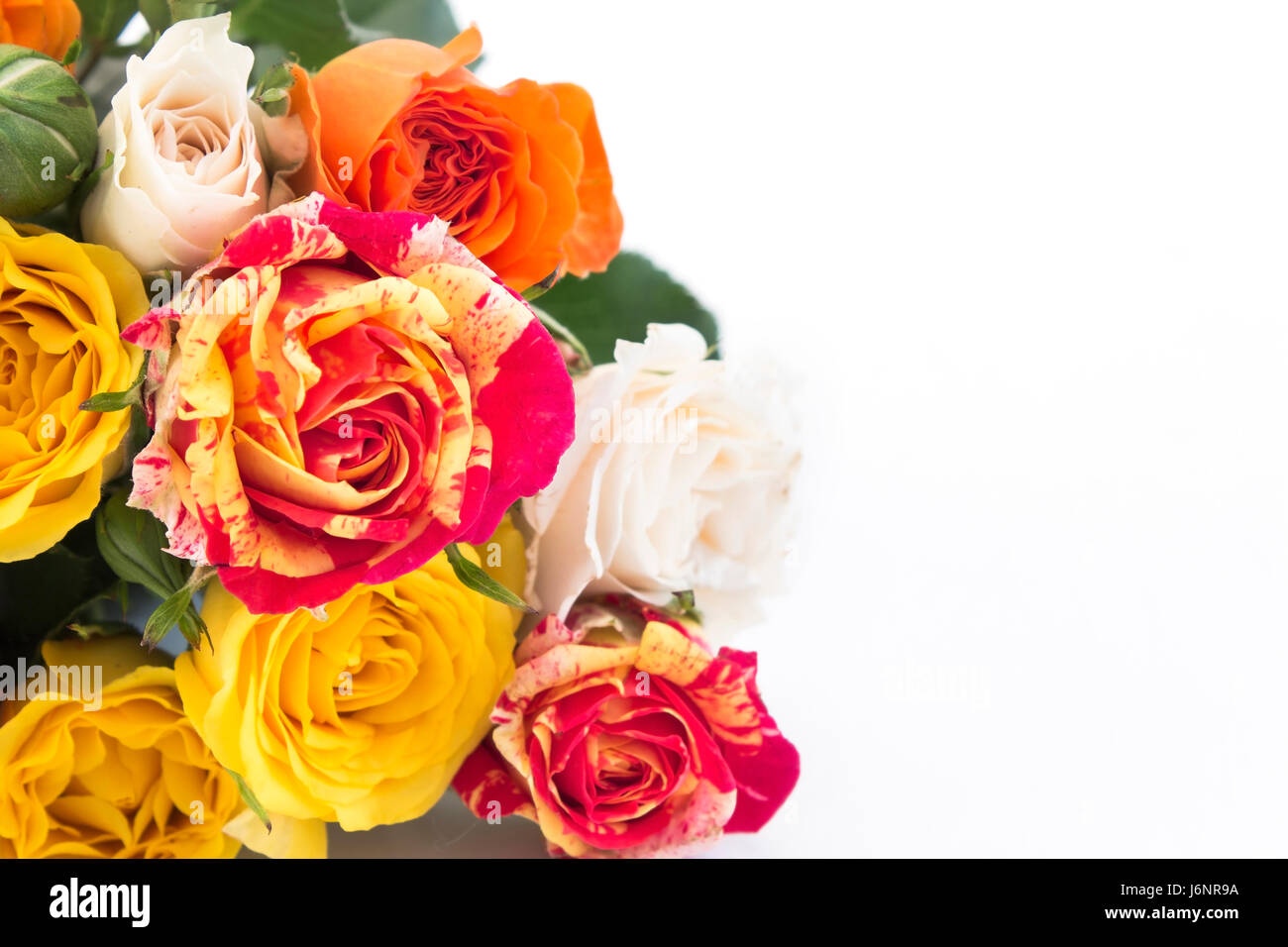 Bouquet de roses multicolores avec copie espace sur fond blanc. Banque D'Images