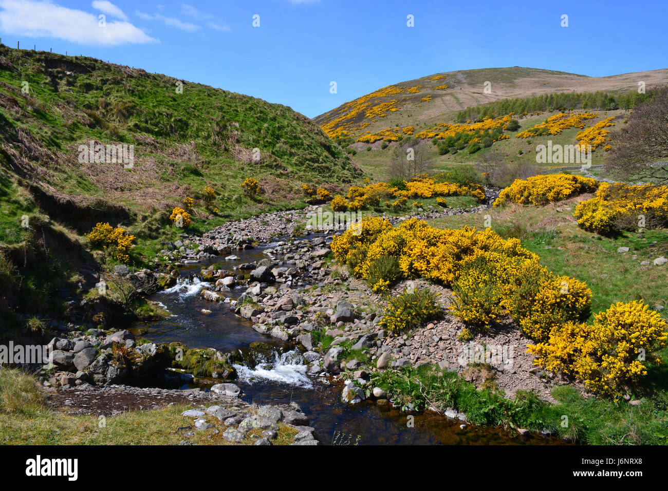 Carey brûler, Harthope Valley, Northumberland Banque D'Images