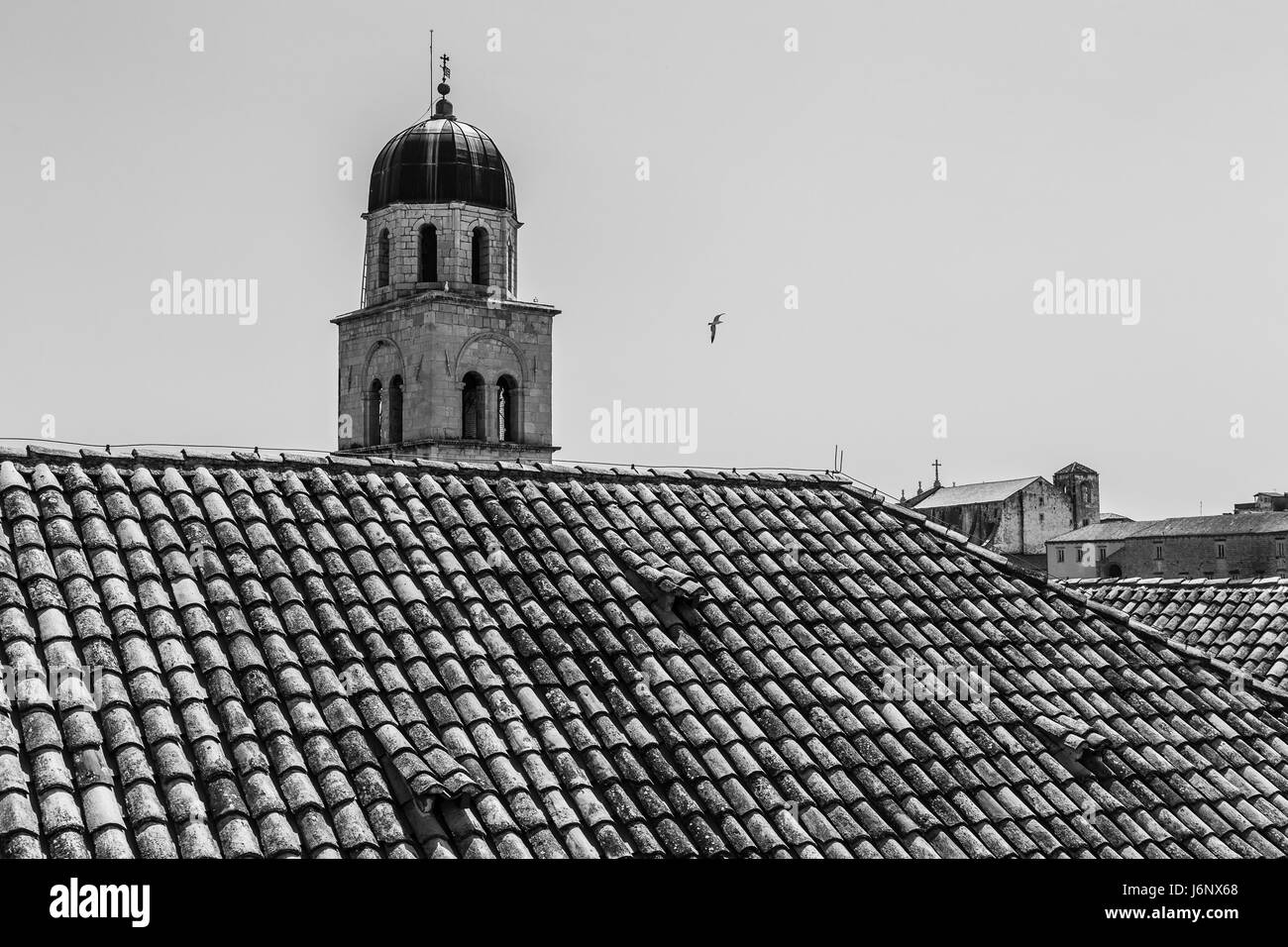 Une image monochrome d'une mouette passant sur le monastère franciscain de la vieille ville de Dubrovnik, enregistrée au début de la saison des vacances 2017 je Banque D'Images