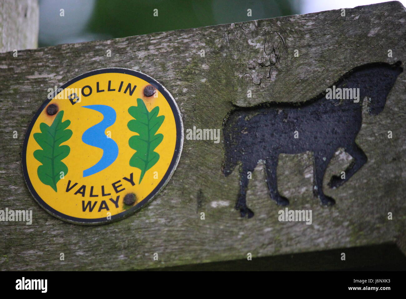 Sentier de la vallée Bollin panneau montrant cheval noir indiquant bridleway Banque D'Images