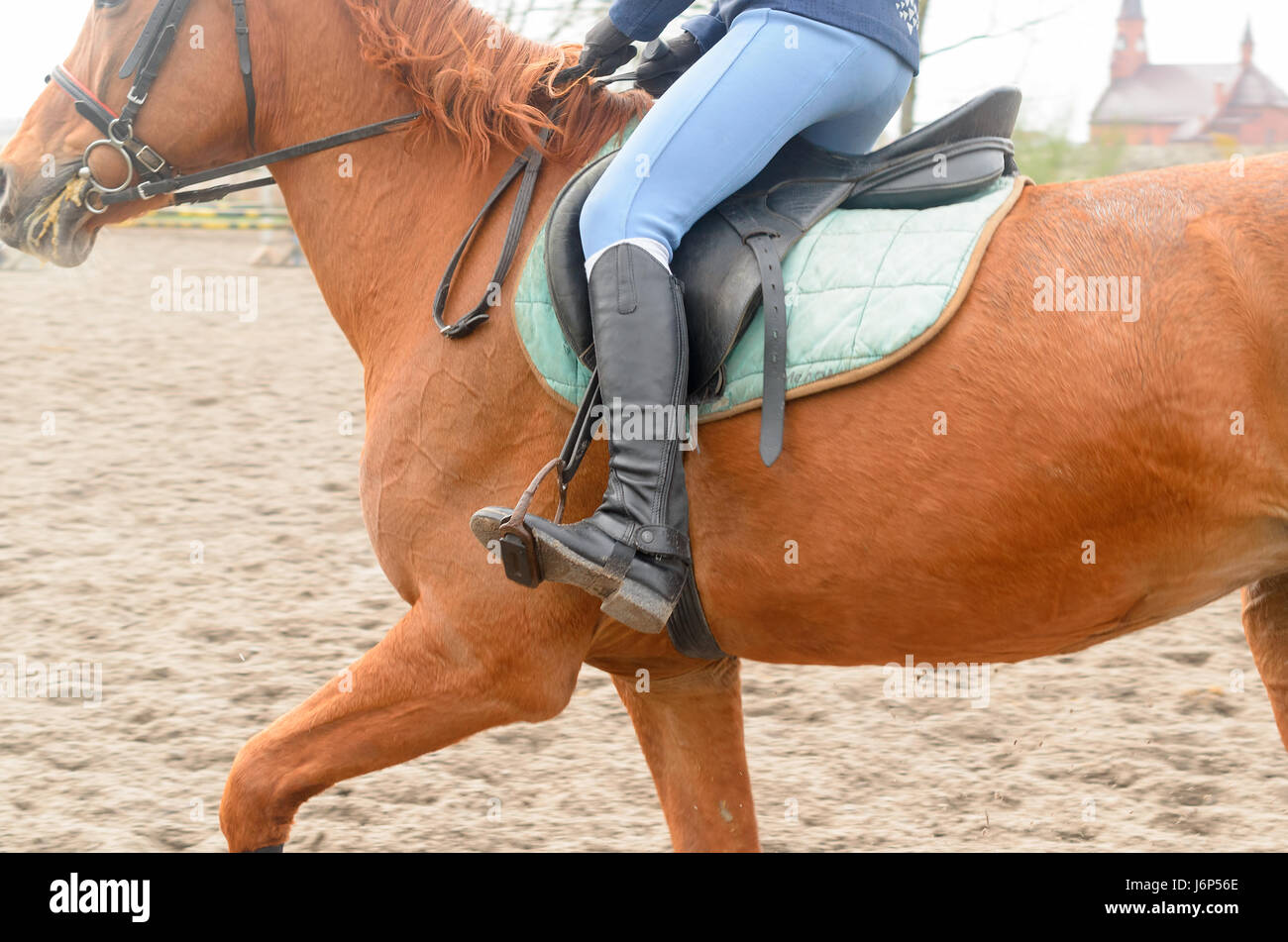 Un cavalier à cheval surmonte les obstacles. Banque D'Images