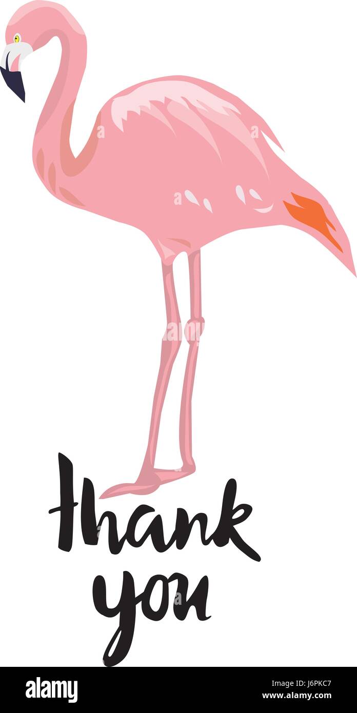 Vector illustration d'une carte de remerciement avec Flamingo Illustration de Vecteur