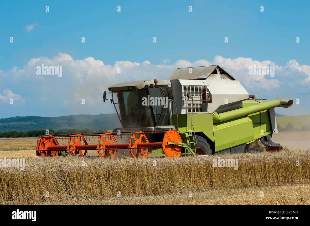 La récolte. La récolte de blé avec une moissonneuse-batteuse Banque D'Images