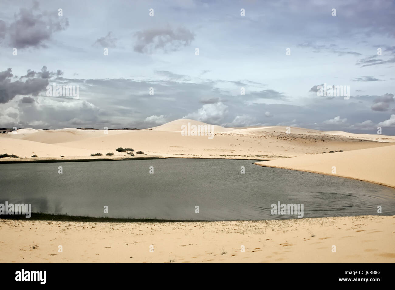 La mer et les dunes, Vietnam Banque D'Images