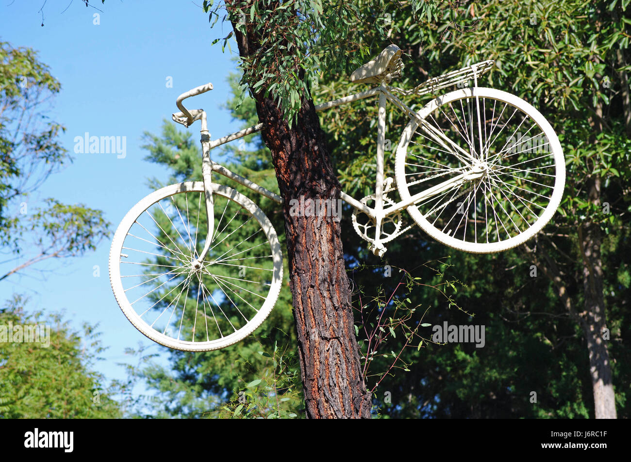 Accident de vélo arbre drôle cycle enthousiasme jouissance amusement joie gag Banque D'Images