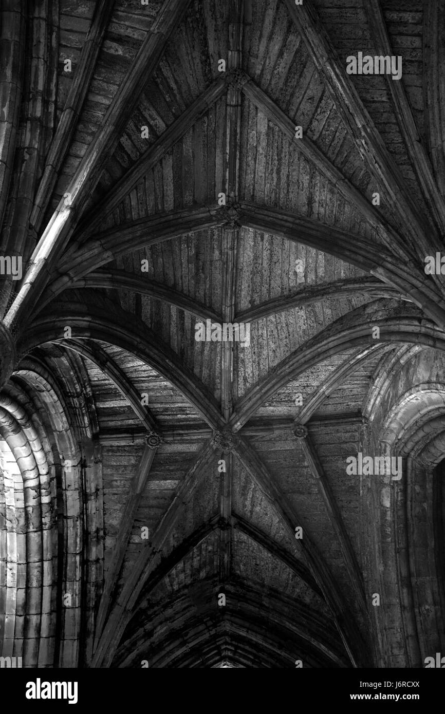 Plafond voûté côtelé, Abbaye de Melrose, Melrose, frontières écossaises, Royaume-Uni : version noir et blanc Banque D'Images