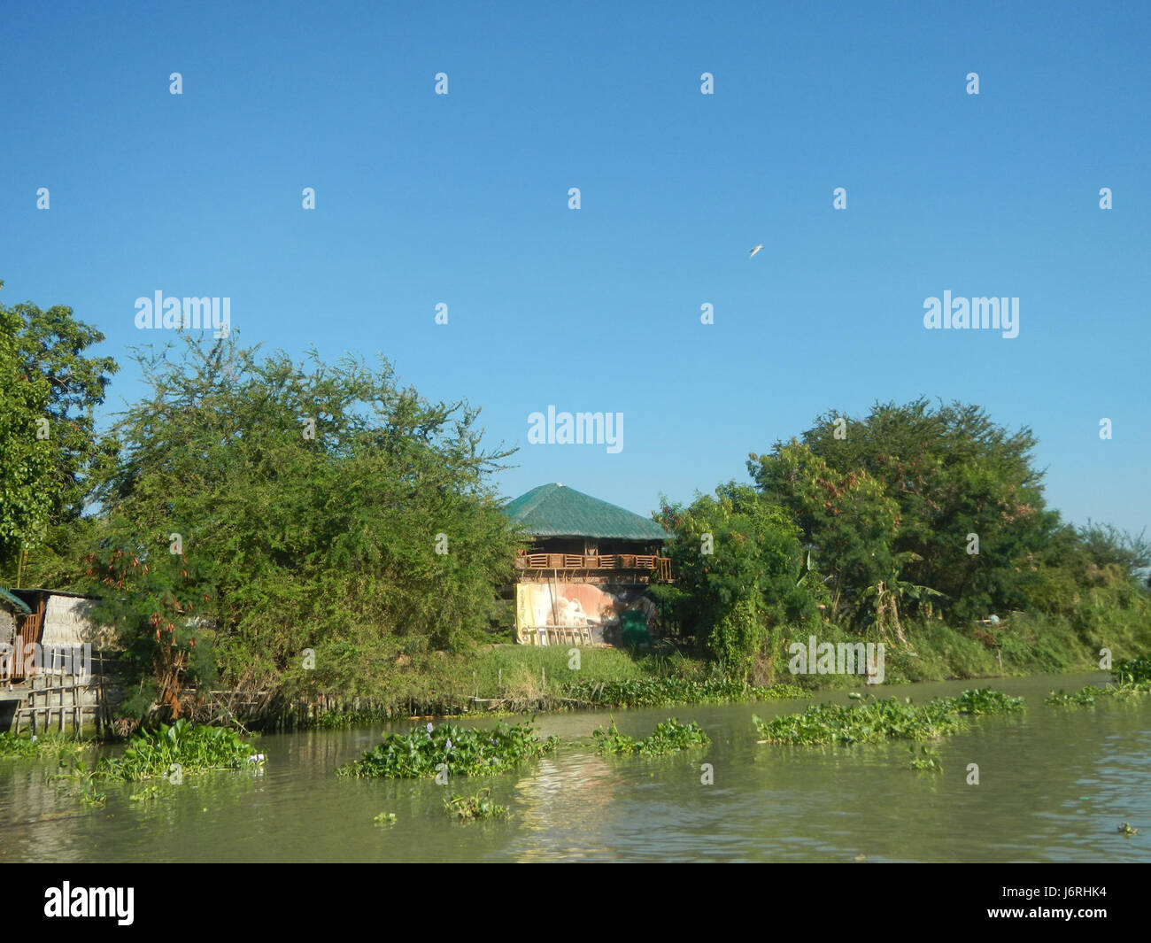 Les districts fluviaux du delta de la Candelaria, situés à Macabebe, Pampanga, disposent de vastes réseaux d’eau et d’une agriculture locale. La région est importante pour son rôle dans le transport fluvial et l'irrigation dans la région. Banque D'Images