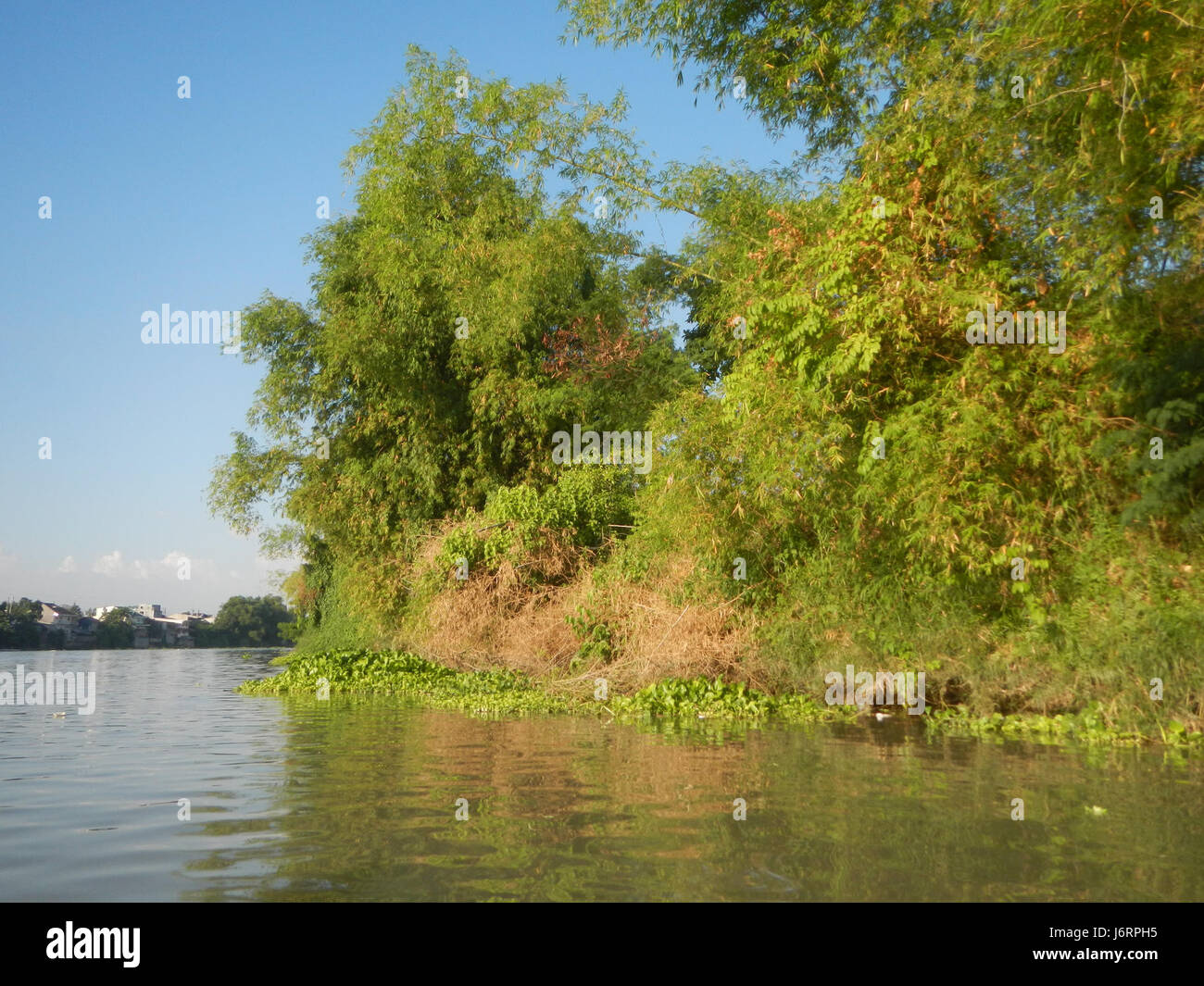 0587 Apalit Pulilan Plaridel Calumpit Bulacan 01 banques Rivière Pampanga Banque D'Images