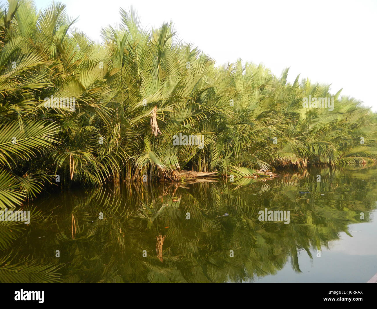 0733 River banks Calero Malolos San Jose 01 Paombong Bulacan Banque D'Images