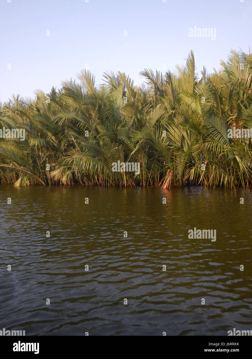 0942 River banks Calero Malolos San Jose 18 Paombong Bulacan Banque D'Images