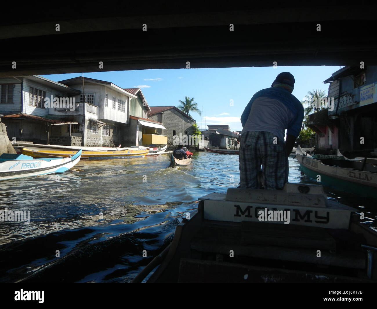 Cette photographie capture les rives de la rivière Panasahan, situé dans la ville de Malolos, Bulacan. L'image montre une variété d'oiseaux, mettant en valeur la faune naturelle de la région et le rôle de la rivière dans l'écosystème local. Banque D'Images