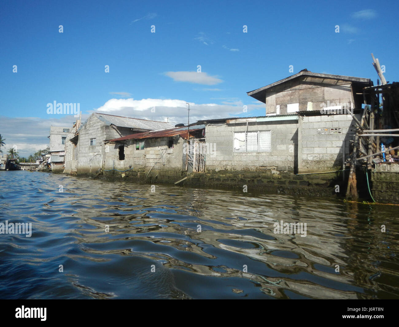 Une photographie montrant des oiseaux le long des rives de la rivière Panasahan dans la ville de Malolos, Bulacan, Philippines, capturant l'environnement naturel et la faune. Banque D'Images