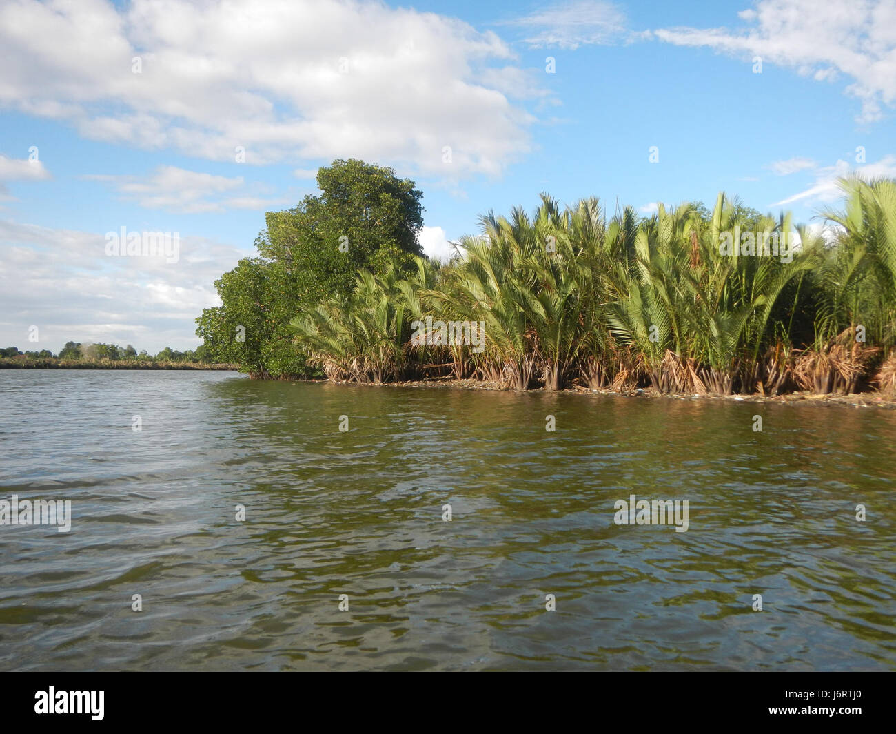 Les districts fluviaux Malolos-Bulakan le long des berges de Panasahan et San Nicolas sont connus pour leurs terres agricoles et leurs moyens de subsistance fluviaux. Ces zones sont vitales pour les communautés locales de Bulacan, soutenant l'agriculture et la gestion de l'eau. Banque D'Images