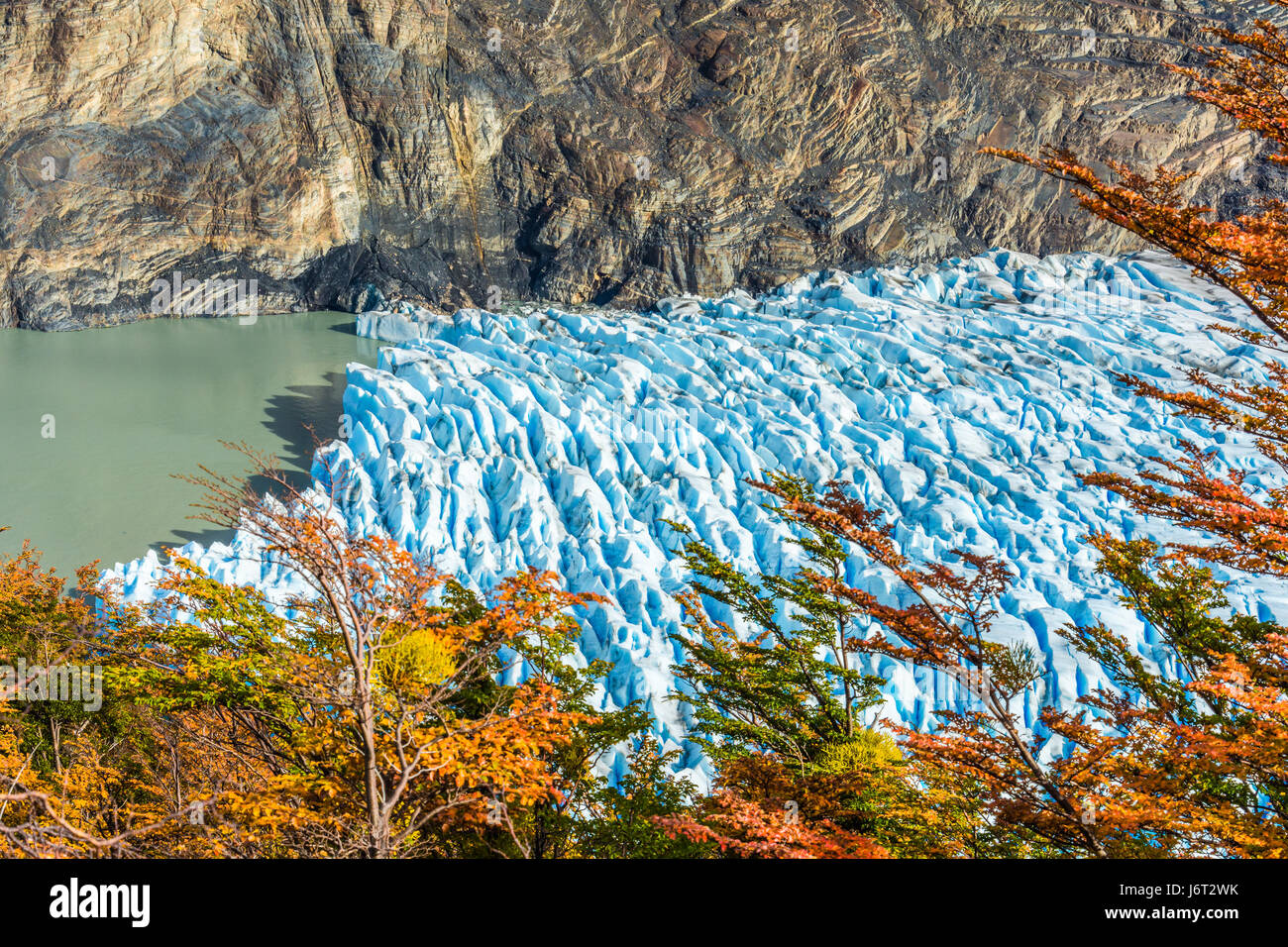 Glacier Grey,Patagonie, Chili - un glacier dans le sud du champ de glace Patagonique, Cordillera del Paine Banque D'Images