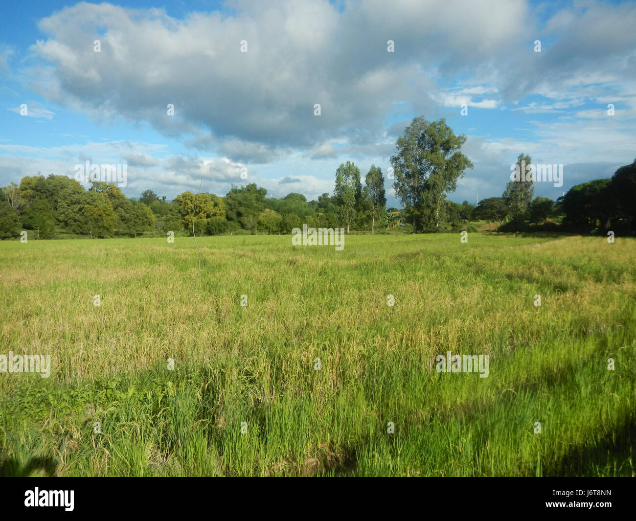 Repères 05943 Routes Champs San Rafael, Bulacan 22 Banque D'Images