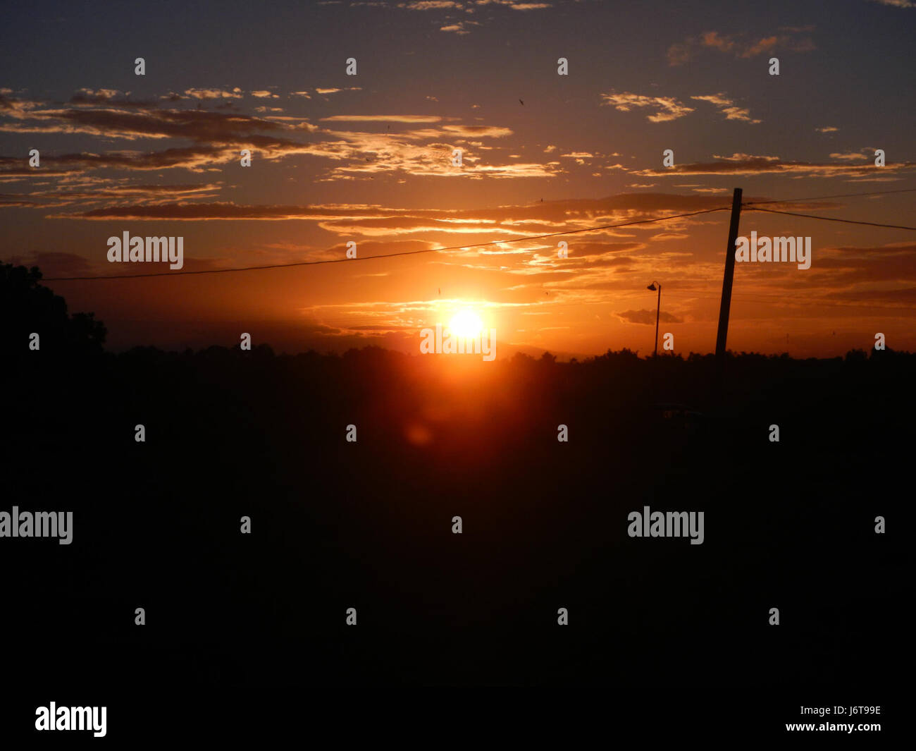 Cette photographie montre des poulains et des bovins de pâturage dans les prairies et les rizières de Coral na Bato, San Rafael, Bulacan, mettant en valeur le paysage agricole et l'élevage dans la région. Banque D'Images