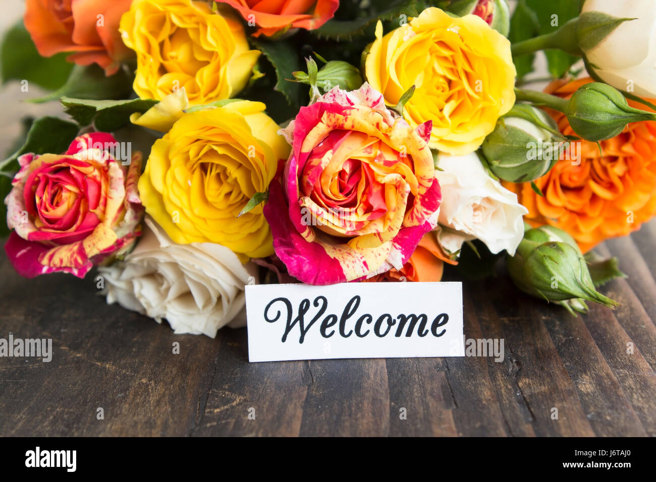 Carte de bienvenue avec bouquet de roses multicolores sur un fond de bois rustique. Banque D'Images