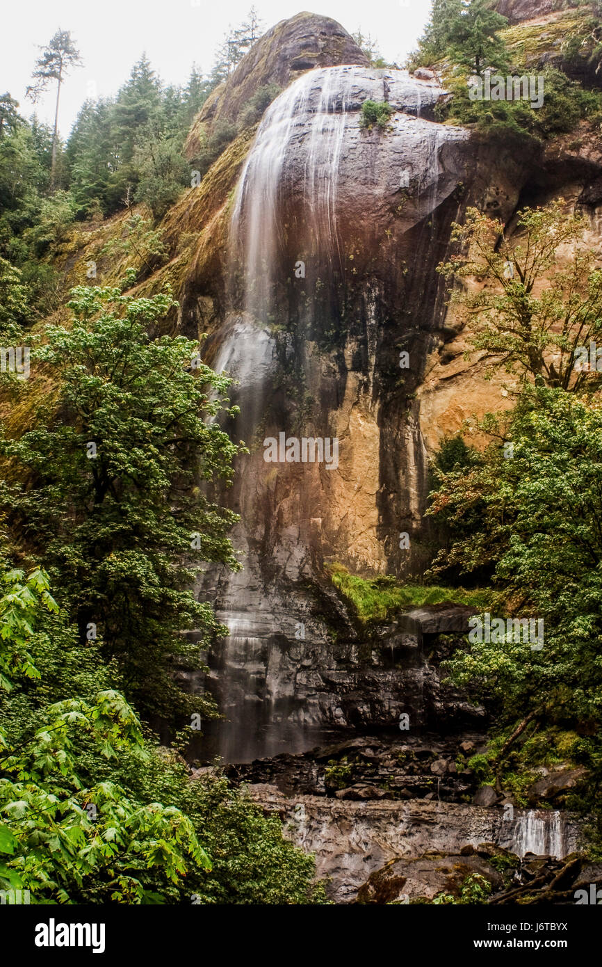 L'ouest des États-Unis a beaucoup de belles chutes d'eau qui sont à l'intérieur de courtes randonnées sur les routes. Gold & Silver Falls dans l'Oregon. Banque D'Images