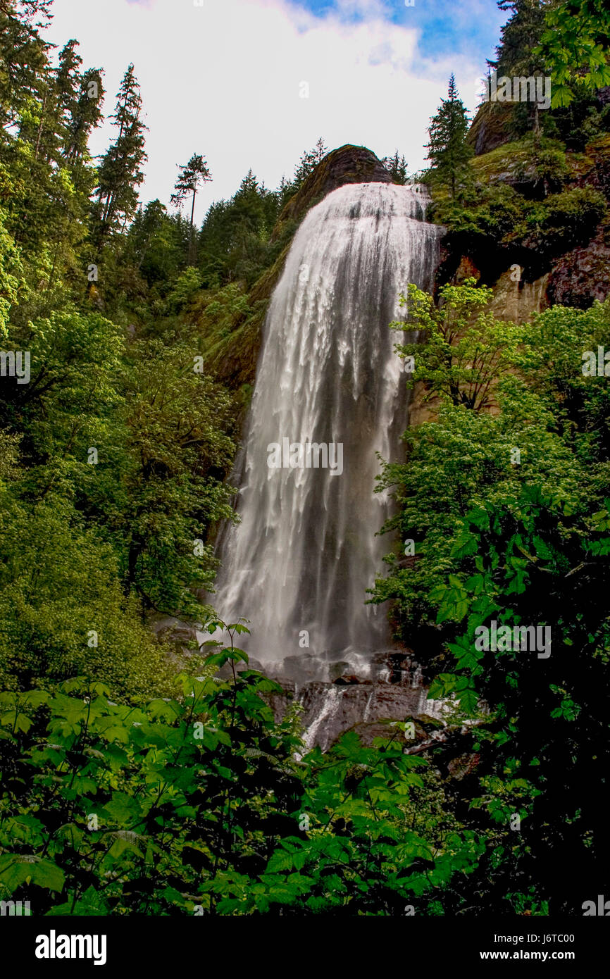 L'ouest des États-Unis a beaucoup de belles chutes d'eau qui sont à l'intérieur de courtes randonnées sur les routes. Gold & Silver Falls dans l'Oregon. Banque D'Images