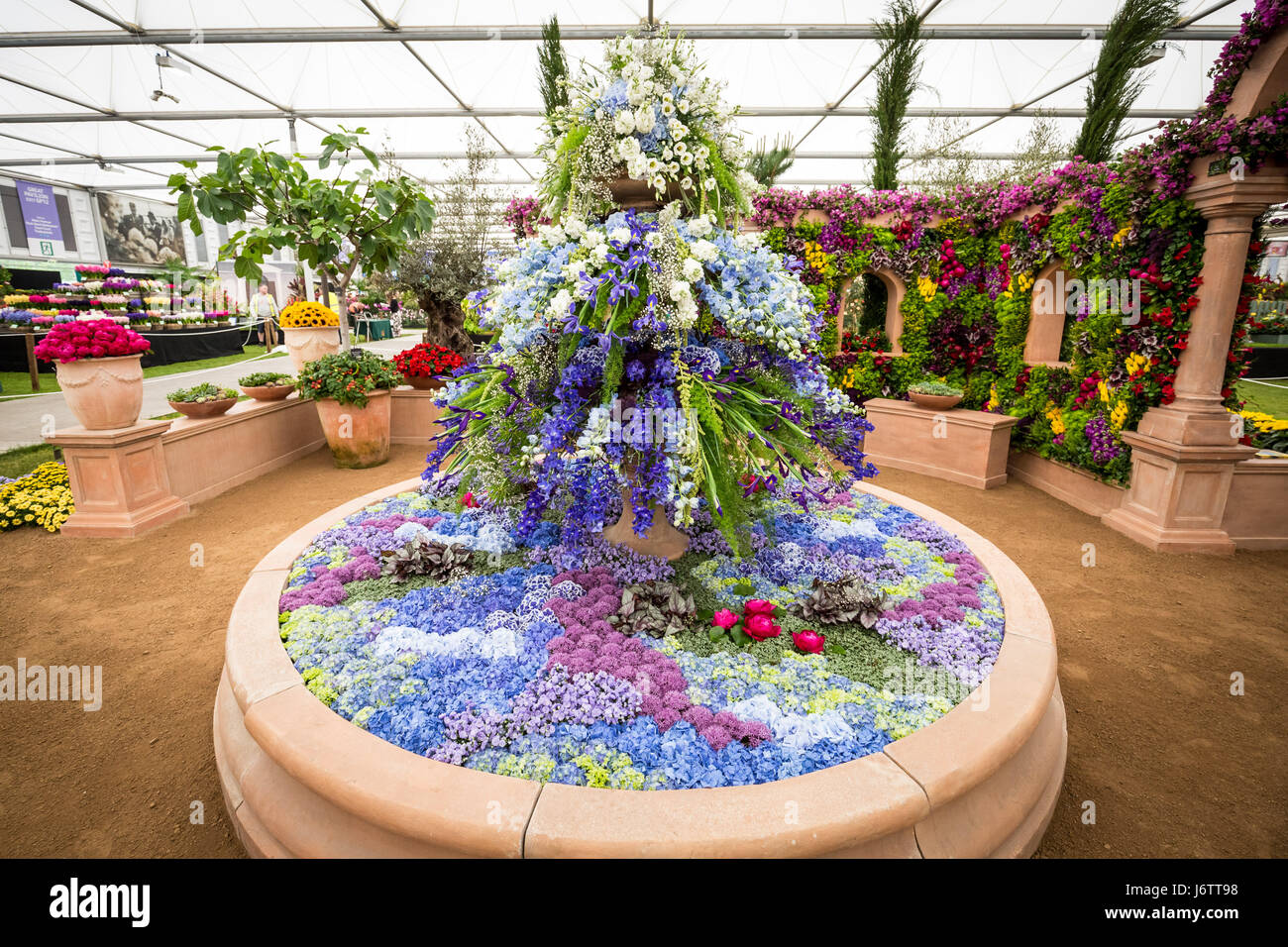 Londres, Royaume-Uni. 22 mai, 2017. RHS Chelsea Flower Show © Guy Josse/Alamy Live News Banque D'Images