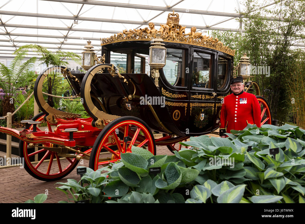 Londres, Royaume-Uni. 22 mai 2017. A Chelsea pensionné pose avec le Auptralia Stage Coach à Bowdens. Appuyez sur Jour à la 2017 RHS Chelsea Flower Show qui ouvre ses portes au public demain. Photo : Images éclatantes/Alamy Live News Banque D'Images