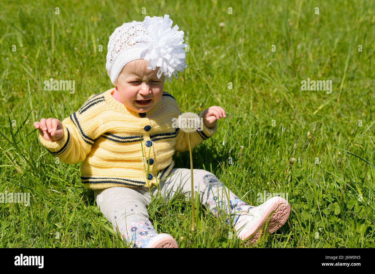 Une petite fille est assise sur l'herbe verte avec un pissenlit moelleux. Banque D'Images