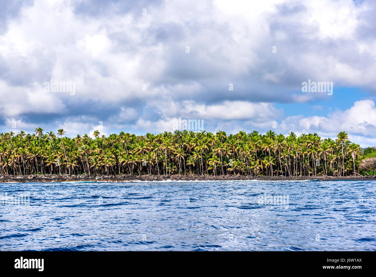 Palmiers tropicaux bordent la côte de la Grande Île d'Hawaï au cours d'une journée très colorés. Banque D'Images