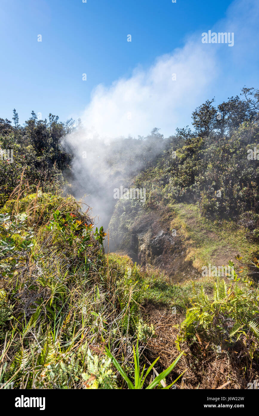 Vapeur naturelle passant d'un évent à vapeur volcanique dans la terre à Volcano National Park, Kilauea Hawaii. Banque D'Images