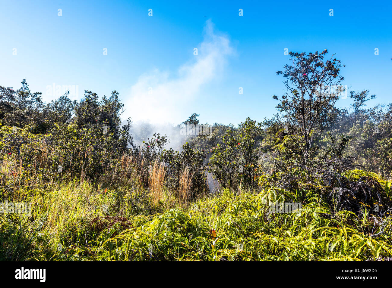 Vapeur naturelle passant d'un évent à vapeur volcanique dans la terre à Volcano National Park, Kilauea Hawaii. Banque D'Images