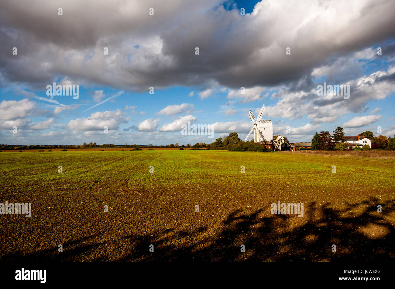 La photographie de paysage de Aythorpe Schmidthof avec moulin à vent domaine des cultures, de l'Essex, en Angleterre. Banque D'Images