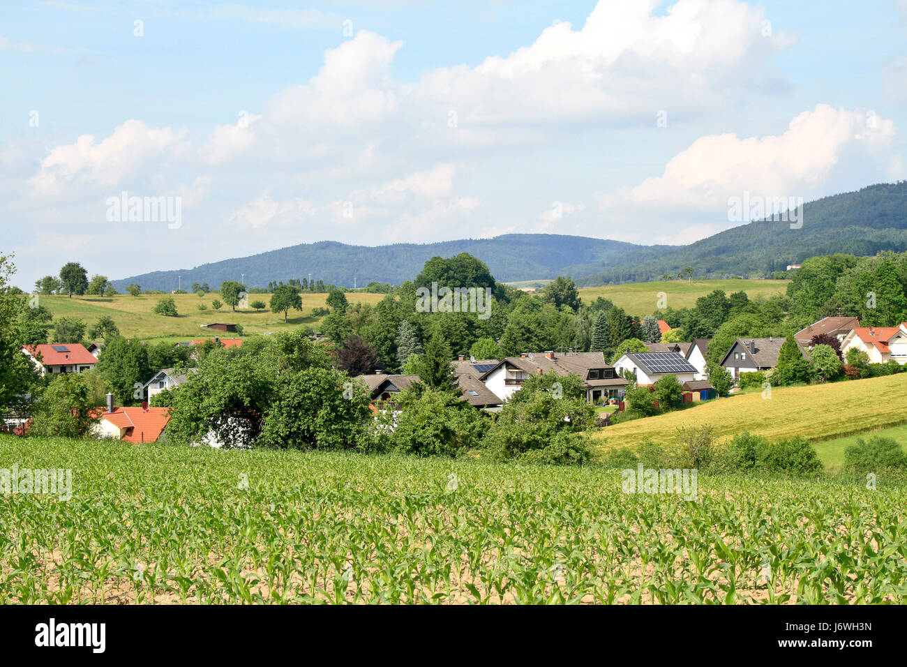 vie à la campagne Banque D'Images