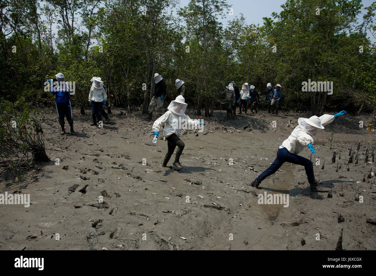Les touristes se promènent à surveiller la récolte du miel dans les Sundarbans, Site du patrimoine mondial de l'UNESCO et une réserve faunique. Satkhira, au Bangladesh. Banque D'Images