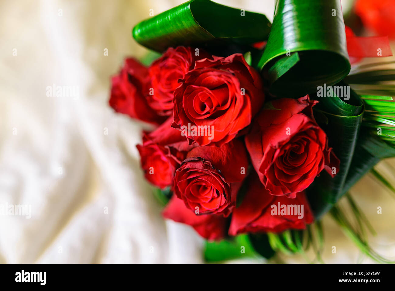 Bouquet de roses rouges, selective focus avec profondeur de champ Banque D'Images