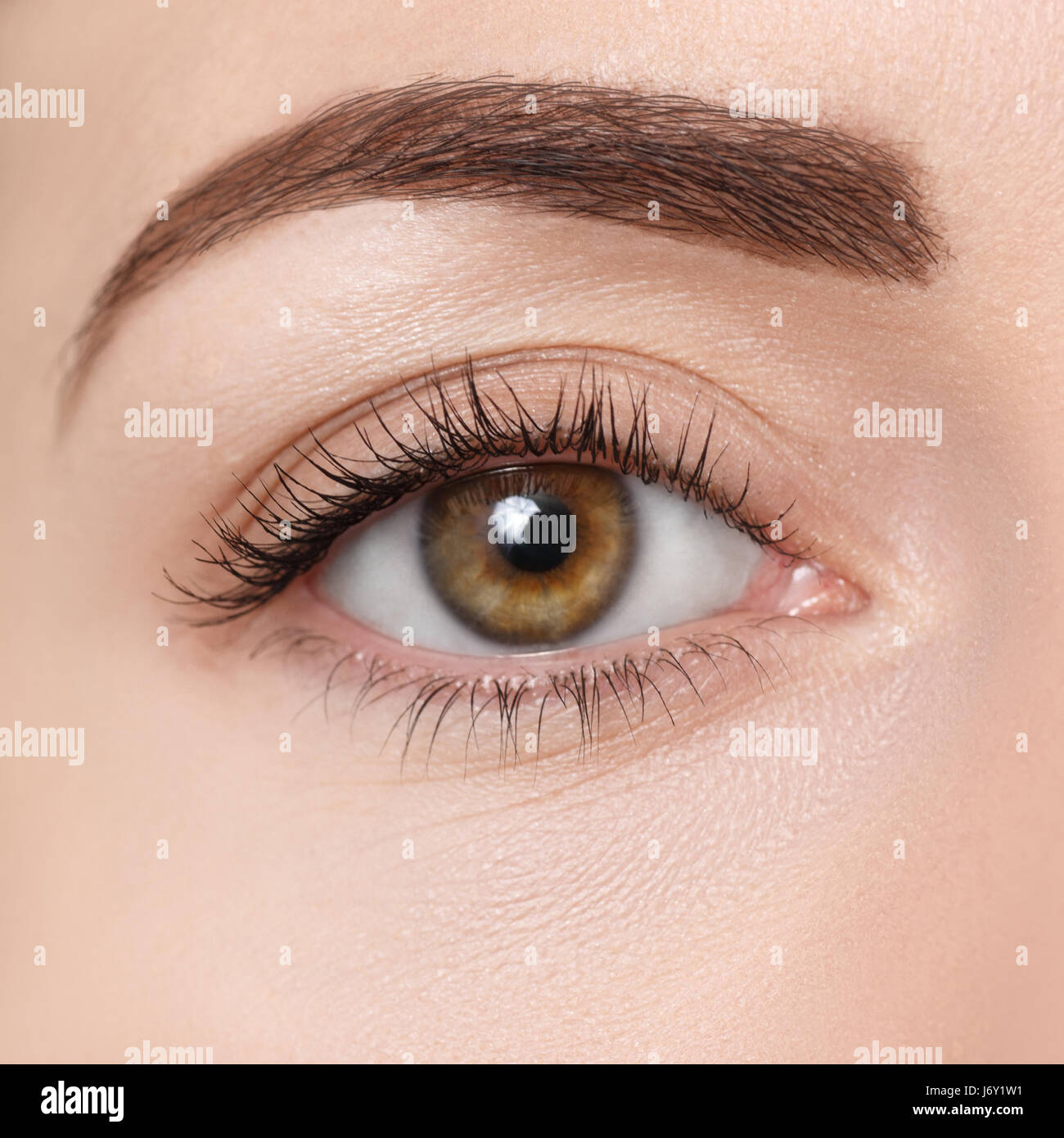 Libre d'œil brun. Belle macro image de femmes avec des yeux maquillage. La  forme parfaite de sourcil. Les cosmétiques et le maquillage. L'œil naturel  mode 1950-51). Ha Photo Stock - Alamy