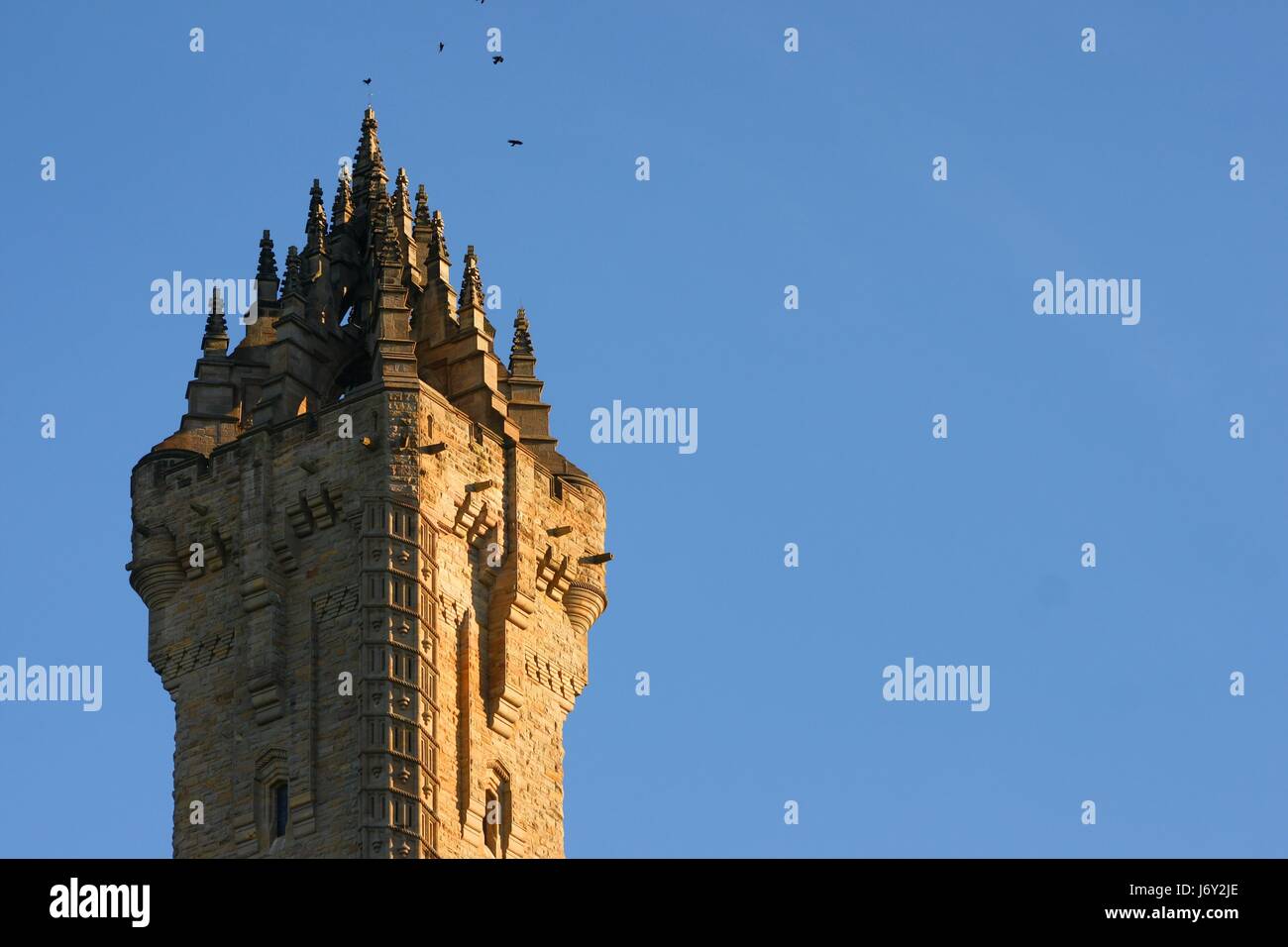 William wallace Banque D'Images