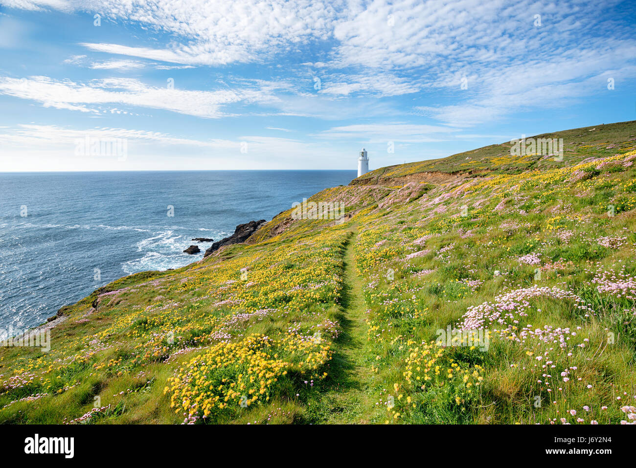 Une falaise chemin bordé de fleurs sauvages à Trevose Head Padstow phare de Bonaventure sur la côte de Cornwall Banque D'Images